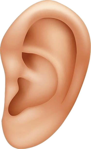 Hearing Support Supplement Science Illustration